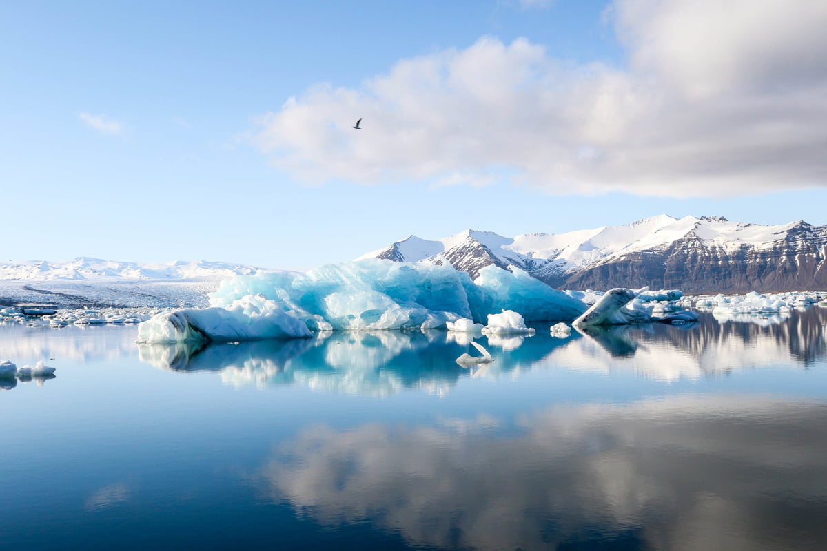 Jökulsárlón Glacier Lagoon Private tour 7
